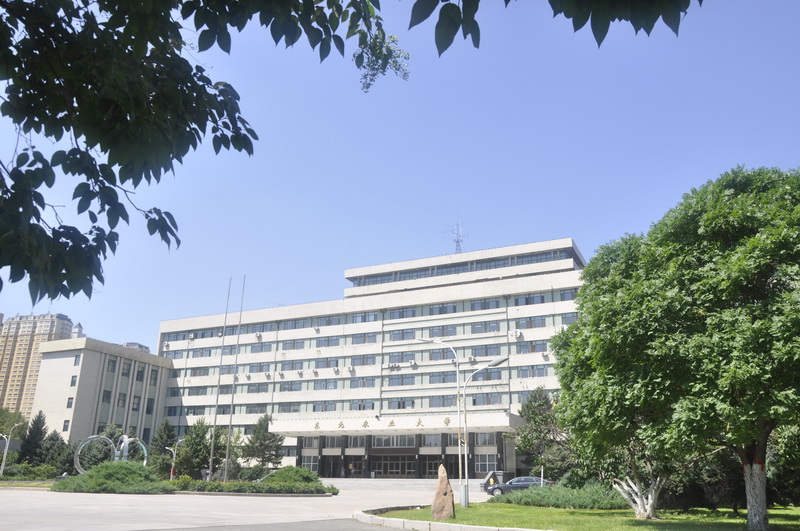 东北农业大学1.jpg